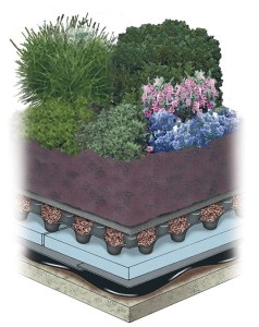 Зеленая крыша или сад на крыше
